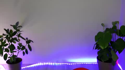 Snapshot of mysticalart chatting on 10.11.25 Eve online show from 10.11.25