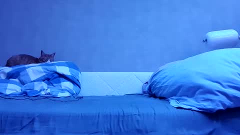 Snapshot of n3philim999 chatting on 10.12.25 n3philim999 online show from 10.12.25