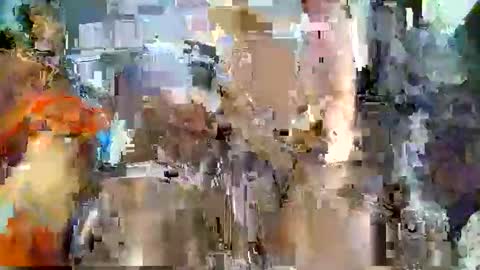 nafertiti online show from 11.05.25