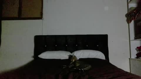 Nahomy online show from 04.01.26