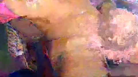 nakedtraderbr online show from 05.13.26