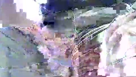 Nane online show from 11.19.25