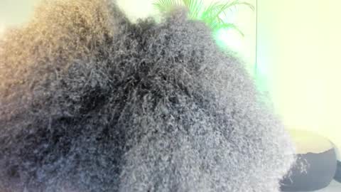 Naomii online show from 11.13.25