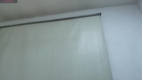 Snapshot of naomy_tay1 chatting on 12.23.25 Naomy online show from 12.23.25