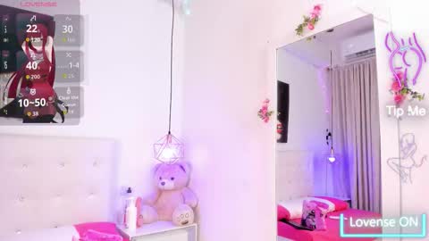 Snapshot of nara_pink chatting on 11.27.25 nara_pink online show from 11.27.25