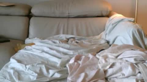 nassobout online show from 12.14.25