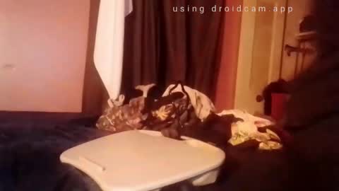 nathanbutler0 online show from 11.01.25