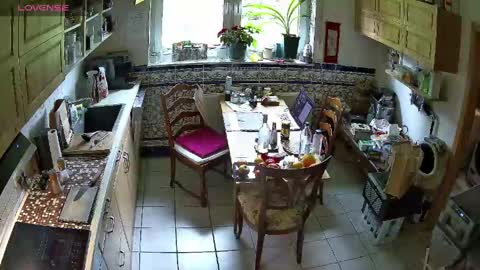 Nature online show from 04.16.26