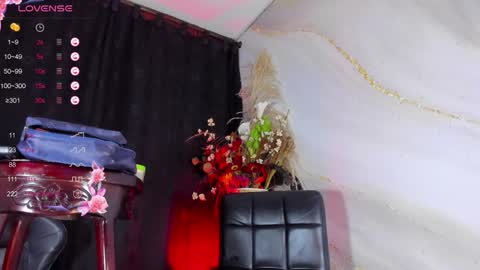 Snapshot of naughty_lizeth chatting on 12.15.24 lizeth  online show from 12.15.24