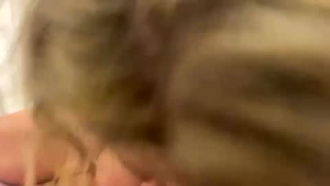 Naughtycouple2026 online show from 04.24.26