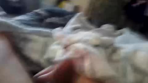 naughtyfelons6969 online show from 10.04.25