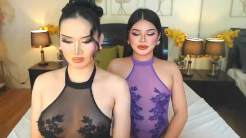 F R A N Z I A online show from 11.16.25