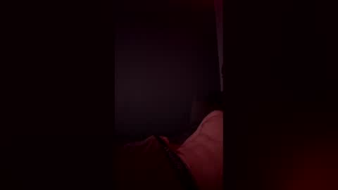 Snapshot of nc9800 chatting on 03.03.26 nc9800 online show from 03.03.26