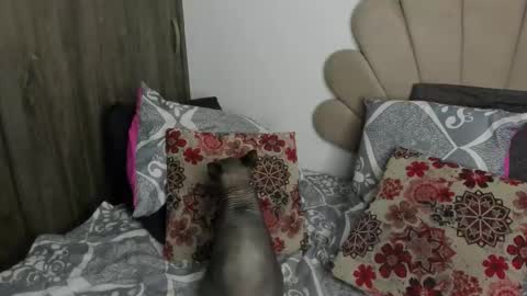 Snapshot of neeii chatting on 11.11.25 Nei turn green online show from 11.11.25