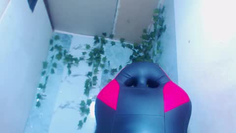 negrita online show from 02.12.26