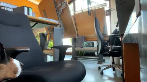 Snapshot of neneo21_ chatting on 01.13.25 neneo21_ online show from 01.13.25