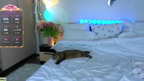 never give up  online show from 03.17.26