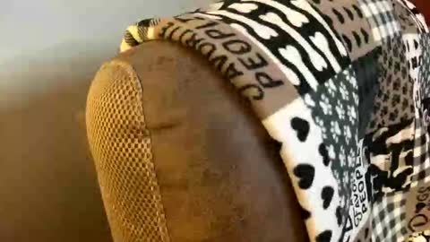 neverwinter44 online show from 03.09.26