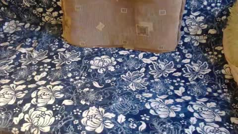 Lilly  online show from 02.01.25