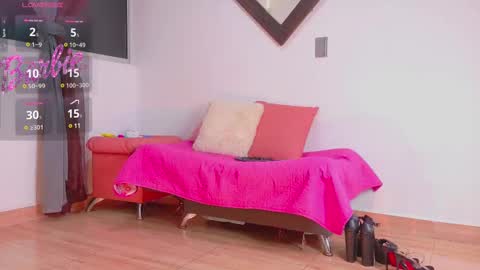 Snapshot of newbarbiedolly chatting on 12.29.24 ximena online show from 12.29.24