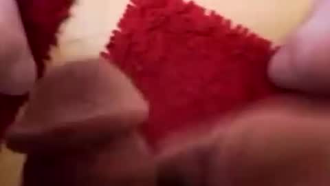 BookWriter online show from 12.02.24