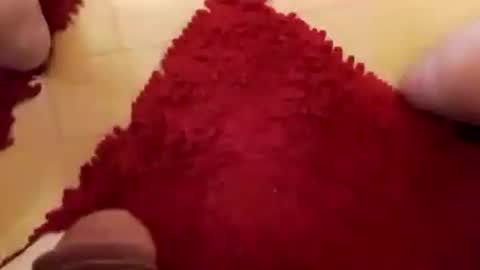 BookWriter online show from 12.07.24