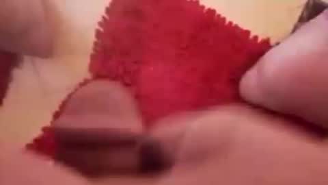 BookWriter online show from 12.20.24