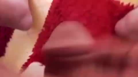 BookWriter online show from 01.16.25