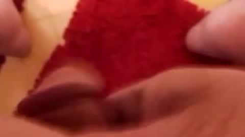 BookWriter online show from 01.25.25