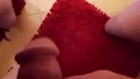 BookWriter online show from 02.01.25