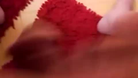 BookWriter online show from 02.16.25