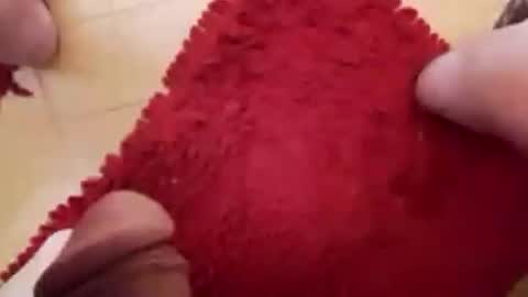 BookWriter online show from 02.23.25