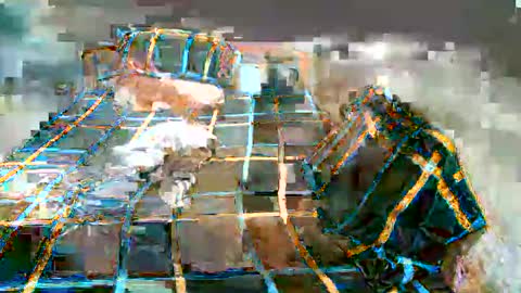 Lucy Pearl online show from 01.07.25