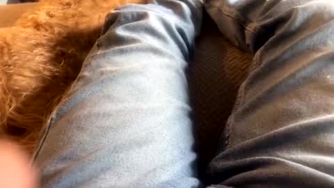 Snapshot of newjerseyhorny chatting on 12.15.24 newjerseyhorny online show from 12.15.24