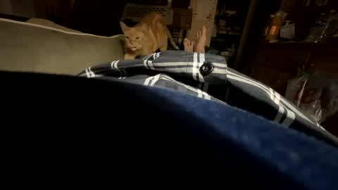 ngianop online show from 10.23.25