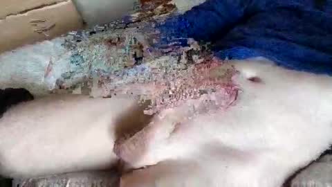 nice_dicknballs online show from 05.02.26