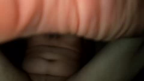 nicholasweber21 online show from 10.18.25