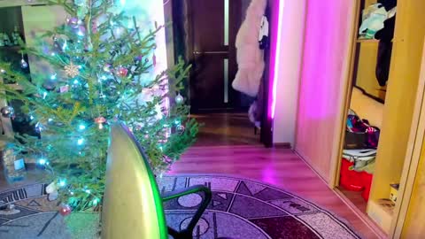 Snapshot of nicky_weekends chatting on 01.14.25 Nicky Weekends online show from 01.14.25