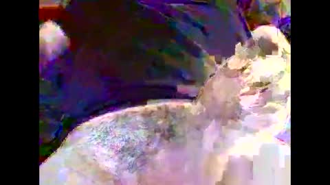 Snapshot of nickyfruit2 chatting on 10.30.25 Nickyfruit online show from 10.30.25