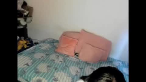 Nicole jaymes online show from 02.15.26