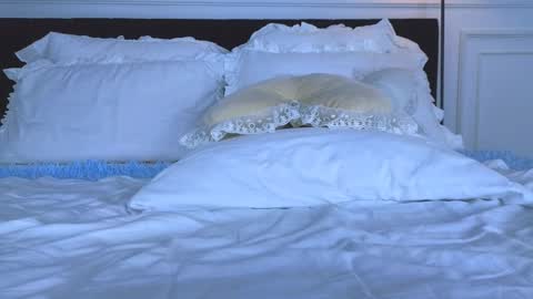 Nicole online show from 03.12.26