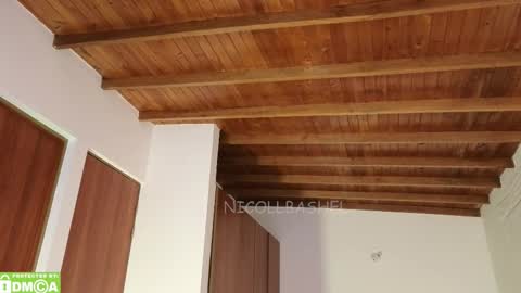 Nicoll  Independent model online show from 10.26.25