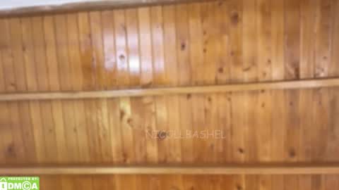 Nicoll  Independent model online show from 11.17.25