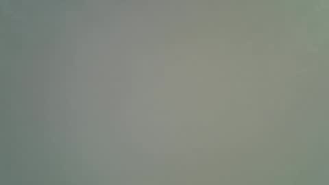 night__light online show from 12.04.25