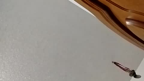 Snapshot of nightnightlol chatting on 02.11.25 nightnightlol online show from 02.11.25