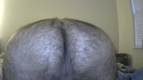 nightranger2001 online show from 12.25.24