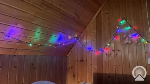 Snapshot of nikbusiness chatting on 12.12.24 Nick online show from 12.12.24