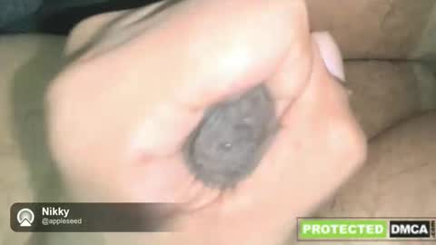 Snapshot of nikkynickpussylover chatting on 12.16.25 NikkynickGooner online show from 12.16.25