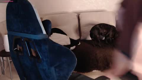 Nikolos online show from 01.29.25