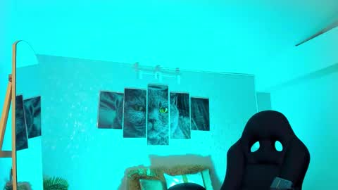 Snapshot of nils_saint chatting on 02.20.26 Nils online show from 02.20.26